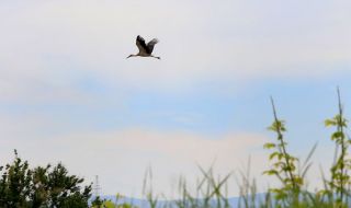 Остава твърде хладно за началото на септември