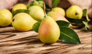 Консумираме 20% родни плодове и зеленчуци, останалото е внос