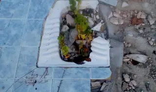 Перверзии в училище има, но протести няма. Отговорни сме за 716 000 ученици!