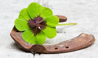 Невиждан късмет за 4 зодии през декември