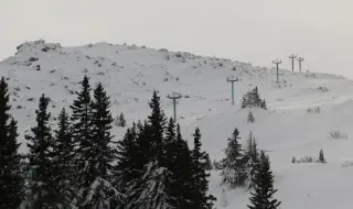 И „Витоша ски“ празнува за Нова година напук на столичани 