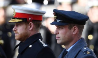 Хари и Уилям не се помириха дори и пред паметника на майка си