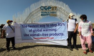 Екоактивисти демонстрираха в Шарм ел Шейх по време на конференцията на ООН за климата