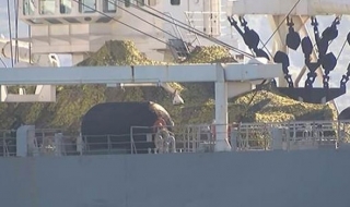 Анкара: Русия прехвърля танкове през Босфора (Видео)