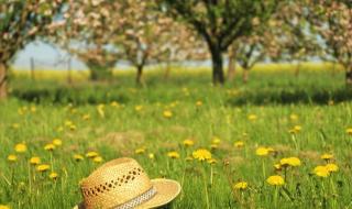 Слънчева събота