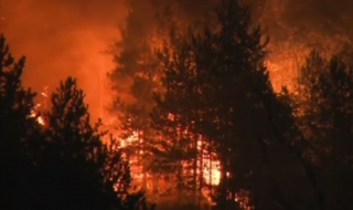 Пожар в Кресненското дефиле
