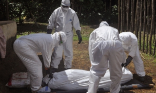 Жертвите на ебола вече са над 7300
