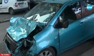 Стадо биволи предизвика катастрофа в София