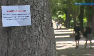  Полицията в Шумен проверява двама братя с прякор Лъвчетата за черния леопард