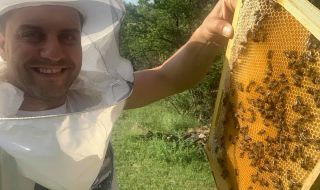 Борис Дали стана пчелар
