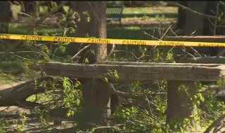 Падащо дърво уби жена след буря край Милано