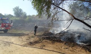 Пожар между варненските села Бенковски и Здравец, над 100 души борят стихията 