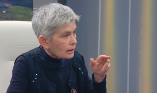 Велислава Дърева: Бойко Борисов се държи като пощенски гълъб