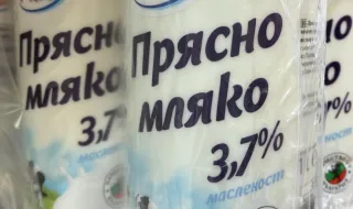 Фермер: Давам овчето мляко на ишлеме и продавам сирене