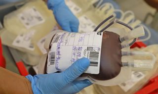 Софийската митрополия организира кръводарителска акция