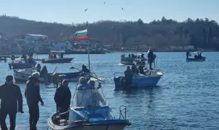Засякоха 20 нови вида риби в Черно море