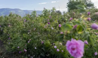 Today's weather, forecast for Saturday, June 1: Sunny with some afternoon showers 