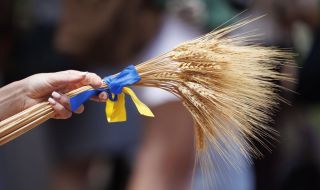 ЕК заплаши с наказателни процедури срещу държавите, наложили едностранни мерки срещу украинския земеделски внос