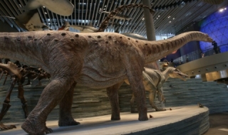 Откриха огромен отпечатък на динозавър