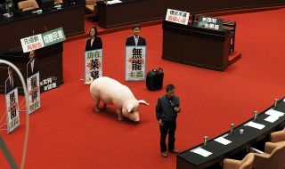 Юмруци и свински черва в тайванския парламент 