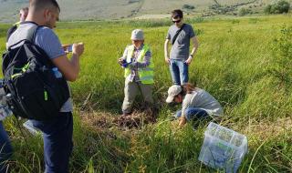 Махнаха теменужки по нареждане на Борисов