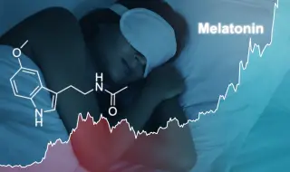 Мелатонинът: чудотворно хапче за сън или рисков фактор