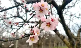 Времето днес, прогноза за петък, 17 април: По-значителна облачност над Южна България, слаби валежи в югозападните райони