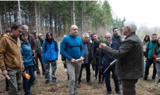 Радев: Наш дълг е да пазим българската гора