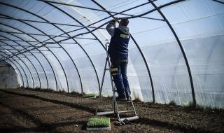 ЕК призова страните-членки да отворят границите си за сезонните земеделски работници