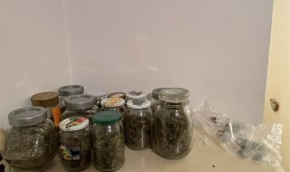 Разкриха домашна оранжерия за марихуана в София