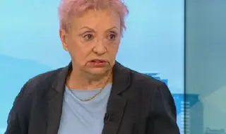 Диана Дамянова: Борисов води предизборната кампания много кротко, в стил ""Какво им стана на тези момчета"