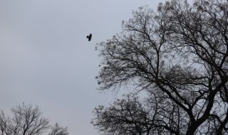 Прогноза за времето днес, 22 февруари: Променлива облачност, вятърът отслабва