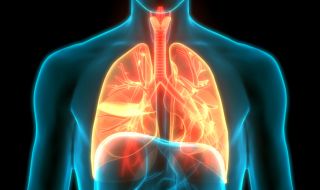 Как да изчистим белите дробове от цигарения дим и мръсния въздух