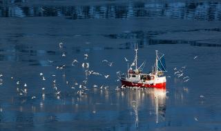 Брекзит в действие: Лондон спря съвместния риболов (ВИДЕО)