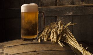Учени намериха начин да подобрят вкуса на бирата