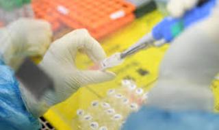 София, Пловдив и Бургас с най-много заразени за денонощието