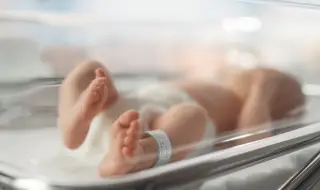 Ужас във Франция: 6-годишно момче уби новородено в болница