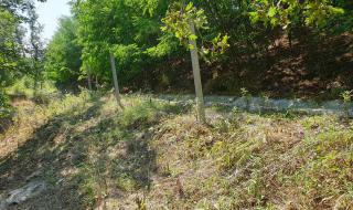 Откраднаха мрежа на АМ „Марица“