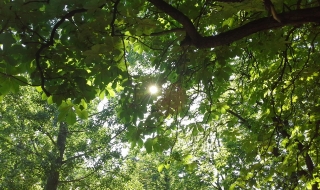 В неделя ще е слънчево