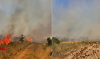 Пожар край Асеновград, затвориха пътя към Кърджали