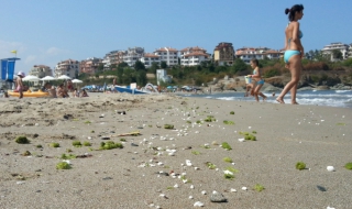 Плажовете пълни въпреки мистериозните бели гранули