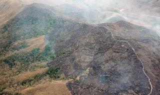 Бразилия: Огънят е под контрол, не искаме помощ!