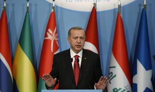 Ердоган иска сини каски в Газа (СНИМКИ)