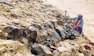 Вижте кой е властвал над Земята преди появата на дърветата