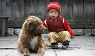 Северна Корея: Кучетата са храна, а не буржоазни домашни любимци