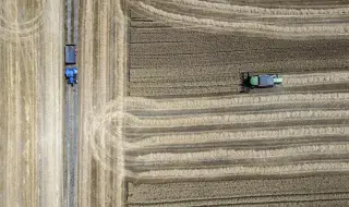 Сушата в Турция: има ли опасност от недостиг на храна?