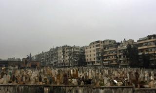 Дамаск: Заповядайте на туризъм в Алепо