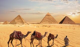 В Египет откриха път към света на мъртвите