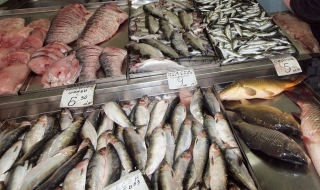 В Бургас раздават безплатно риба