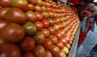 Вирус застрашава доматената реколта